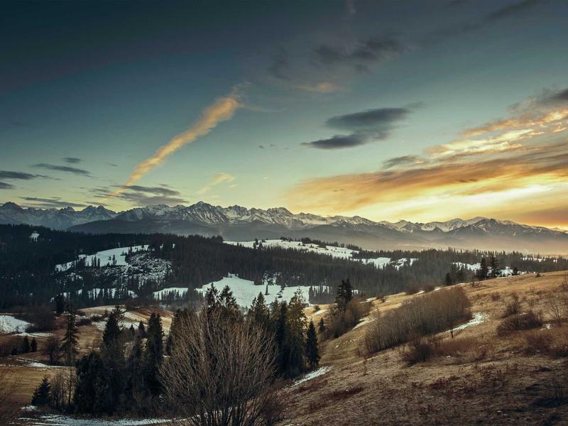 GazunTedaxUrsenOztor Rosario