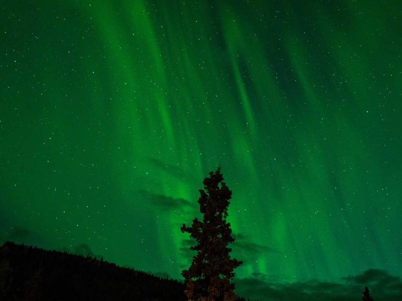 GazunTedaxUrsenOztor