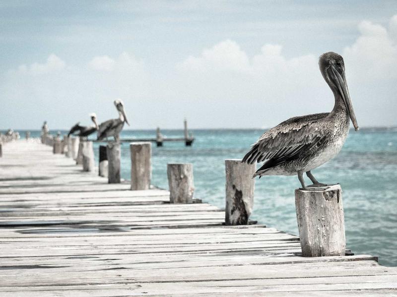 Osvaldo Quirós Rosario